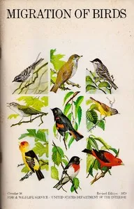 Migration of Birds (1979) — Frederick Charles Lincoln cover