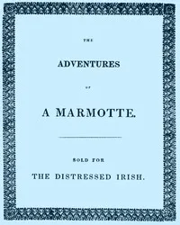 The Adventures of a Marmotte: Sold for the Distressed Irish — Eliza Grey cover