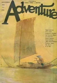 Flames of the Storm — W. C. (Wilbur C.) Tuttle cover