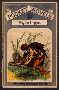 Nat, The Trapper and Indian-Fighter — Lettie Artley Irons cover