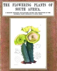 The flowering plants of South Africa; vol. 3 — I. B. (Illtyd Buller) Pole Evans cover