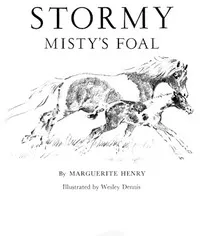 Stormy, Misty's Foal — Marguerite Henry cover