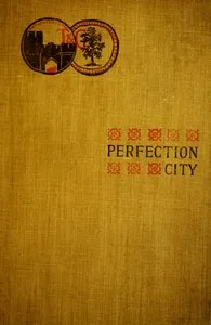 Perfection City cover