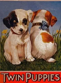 My twin puppies — Edna Groff Deihl cover