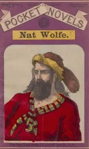 Nat Wolfe; or, The gold hunters: A romance of Pike's Peak and New York cover