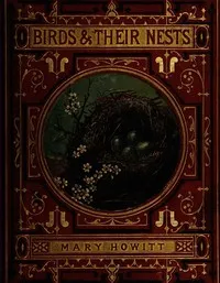 Birds and their nests cover