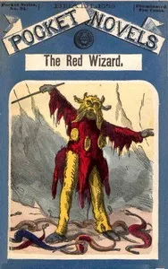 The red wizard, or, the cave captive — Edward Sylvester Ellis cover
