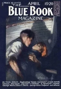 The hollow lens — Henry Leverage cover