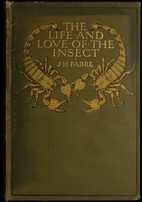 The Life and Love of the Insect cover