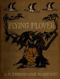 Flying Plover: His stories, told him by Squat-by-the-fire — Theodore Goodridge Roberts cover