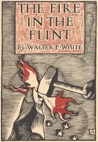 The fire in the flint — Walter White cover