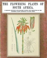 The flowering plants of South Africa; vol. 4 — I. B. (Illtyd Buller) Pole Evans cover