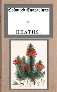 Coloured engravings of heaths; vol. 2 cover