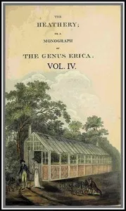 The heathery; or, A monograph of the genus Erica. vol. 4 — Henry Cranke, active 1799-1828 Andrews cover