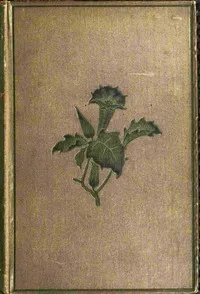 Torwood's trust : $b A novel (Vol. 2 of 3) — Evelyn Everett-Green cover