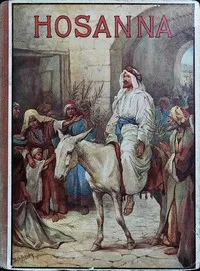 Hosanna : $b Bible stories retold — Catharine Shaw cover