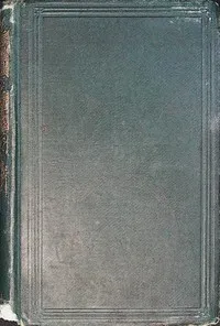 The new buggy — Madeline Leslie cover