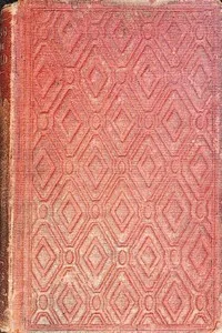 Rising in the world : $b A tale for the rich and poor — T. S. (Timothy Shay) Arthur cover