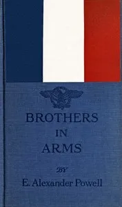 Brothers in arms cover