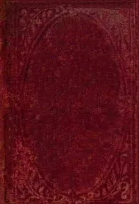 The golden pennies, and other stories — Madeline Leslie cover