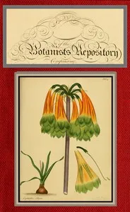 The botanist's repository for new and rare plants; vol. 03 & 04 [of 10] — Henry Cranke, active 1799-1828 Andrews cover
