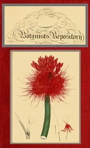 The botanist's repository for new and rare plants; vol. 05 [of 10] — Henry Cranke, active 1799-1828 Andrews cover