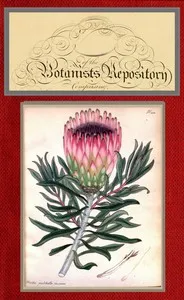 The botanist's repository for new and rare plants; vol. 07 [of 10] — Henry Cranke, active 1799-1828 Andrews cover