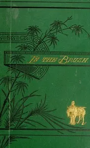 In the brush : $b or, Old-time social, political, and religious life in the southwest — Hamilton W. (Hamilton Wilcox) Pierson cover
