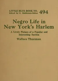 Negro life in New York's Harlem : $b A lively picture of a popular and interesting section — Wallace Thurman cover