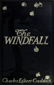 The windfall : $b a novel — Charles Egbert Craddock cover