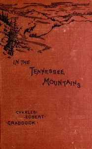 In the Tennessee mountains — Charles Egbert Craddock cover