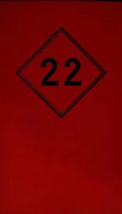 The case of the Black Twenty-Two — Brian Flynn cover