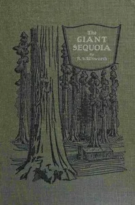 The giant sequoia : $b An account of the history and characteristics of the big trees of California — Rodney Sydes Ellsworth cover