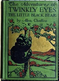 The adventures of Twinkly Eyes the little Black Bear cover