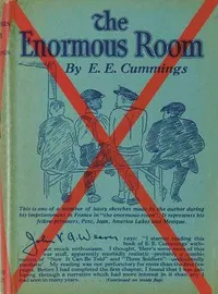 The Enormous Room — E. E. (Edward Estlin) Cummings cover