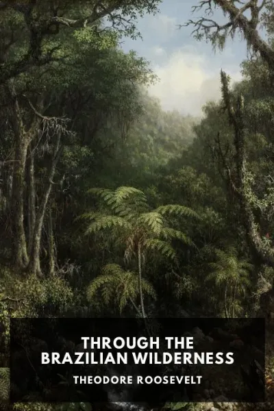 Through the Brazilian Wilderness — Theodore Roosevelt cover