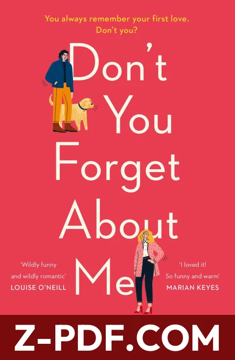 Don't You Forget About Me by Mhairi McFarlane book cover