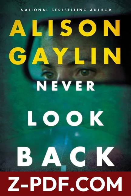 Never Look Back by Alison Gaylin book cover