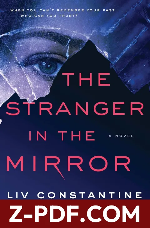 The Stranger in the Mirror by Liv Constantine book cover