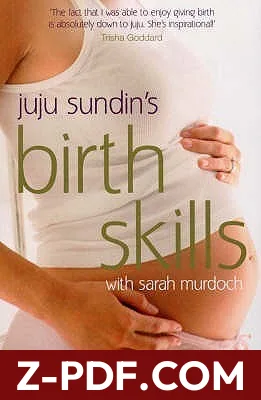 Juju Sundin's Birth Skills: Proven Pain-Management Techniques for Your Labour and Birth by Juju Sundin book cover