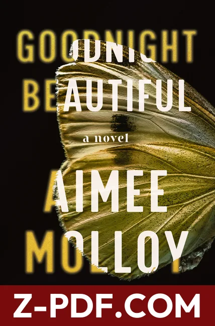 Goodnight Beautiful by Aimee Molloy book cover