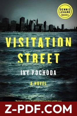 Visitation Street by Ivy Pochoda book cover