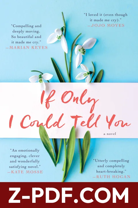 If Only I Could Tell You by Hannah Beckerman book cover