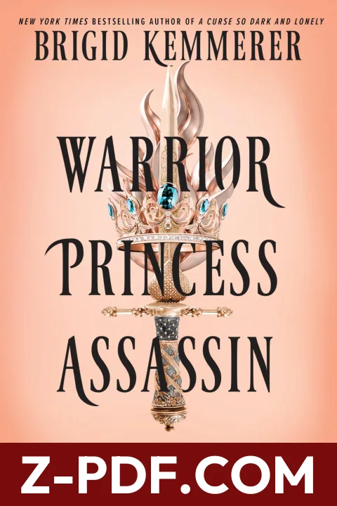 Warrior Princess Assassin by Brigid Kemmerer book cover