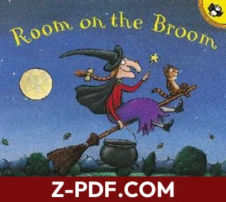 Room on the Broom by Julia Donaldson book cover