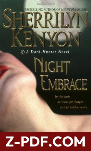 Night Embrace by Sherrilyn Kenyon book cover